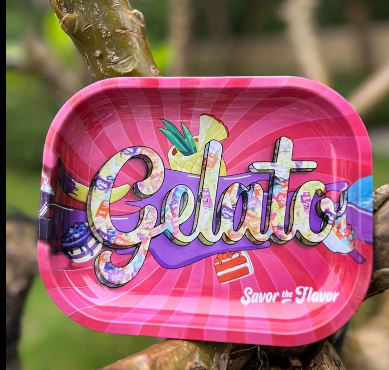 CHAROLA GELATO