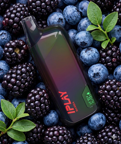 IPLAY XBOX PRO